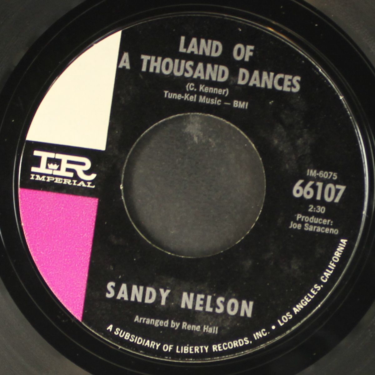 land of a thousand dances by SANDY NELSON