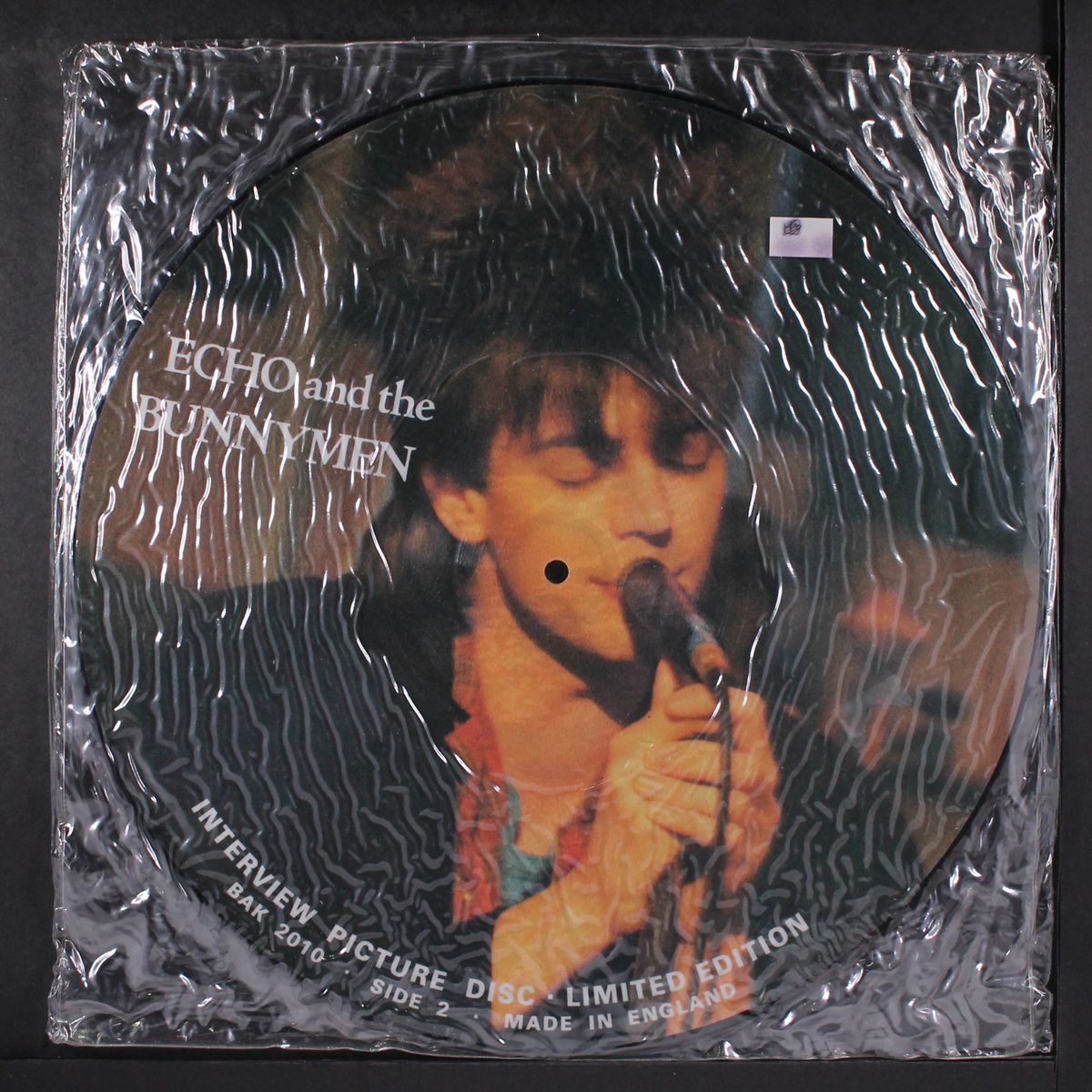 interview picture disc by ECHO & BUNNYMEN