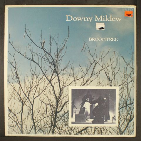 DOWNY MILDEW