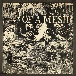 OF A MESH