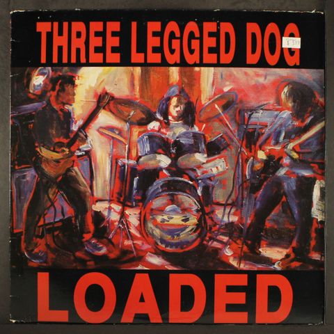 THREE LEGGED DOG