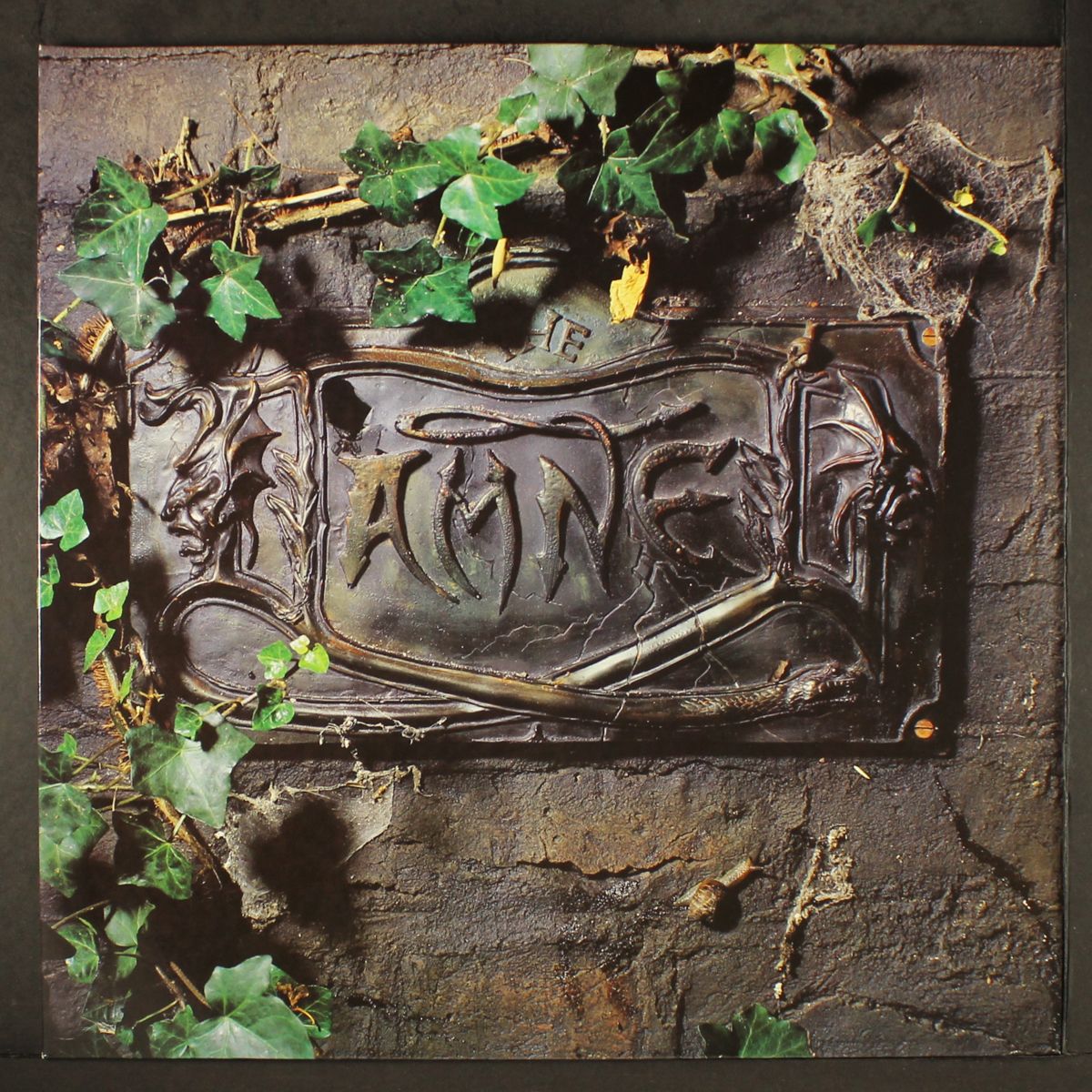 the black album by DAMNED