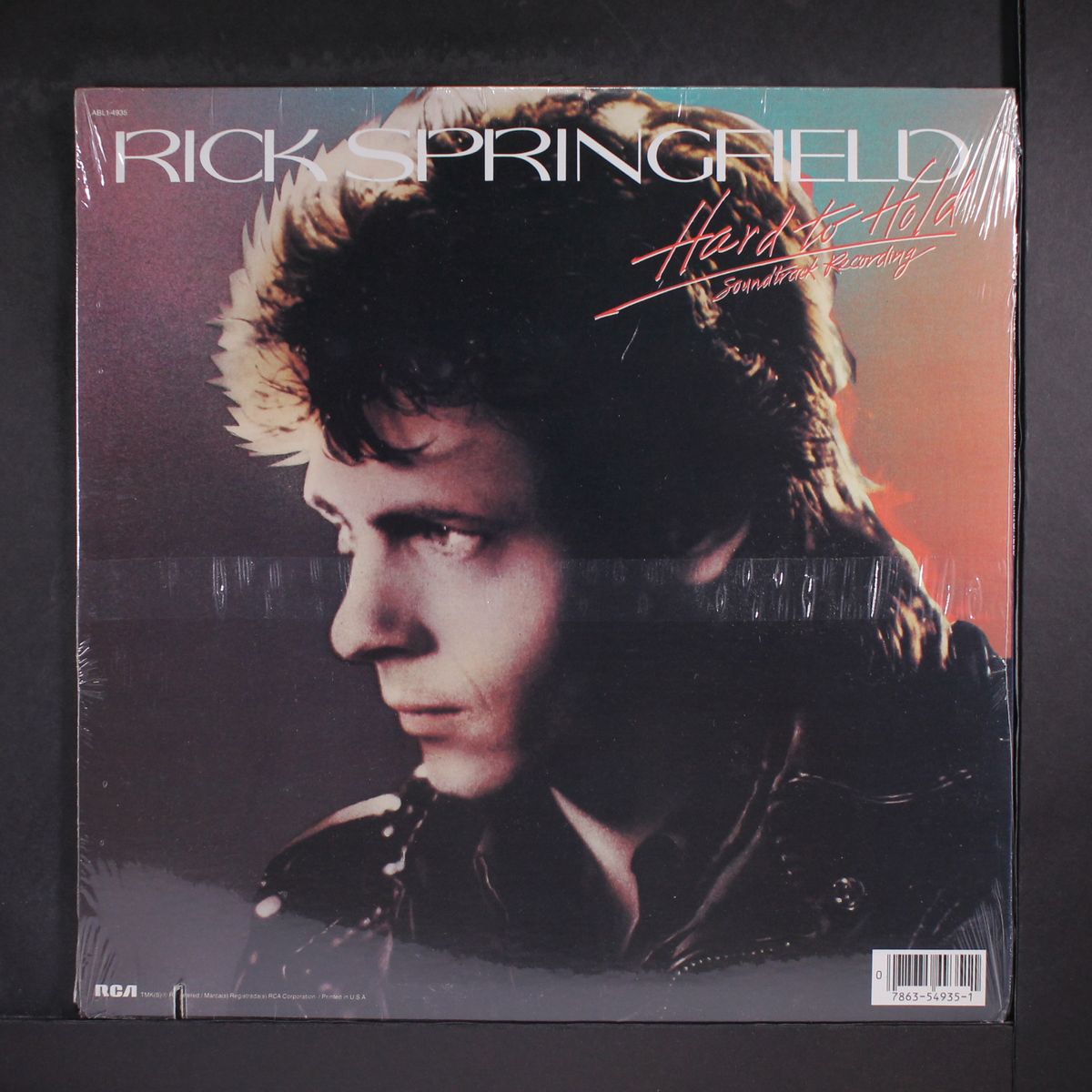 hard to hold soundtrack by RICK SPRINGFIELD