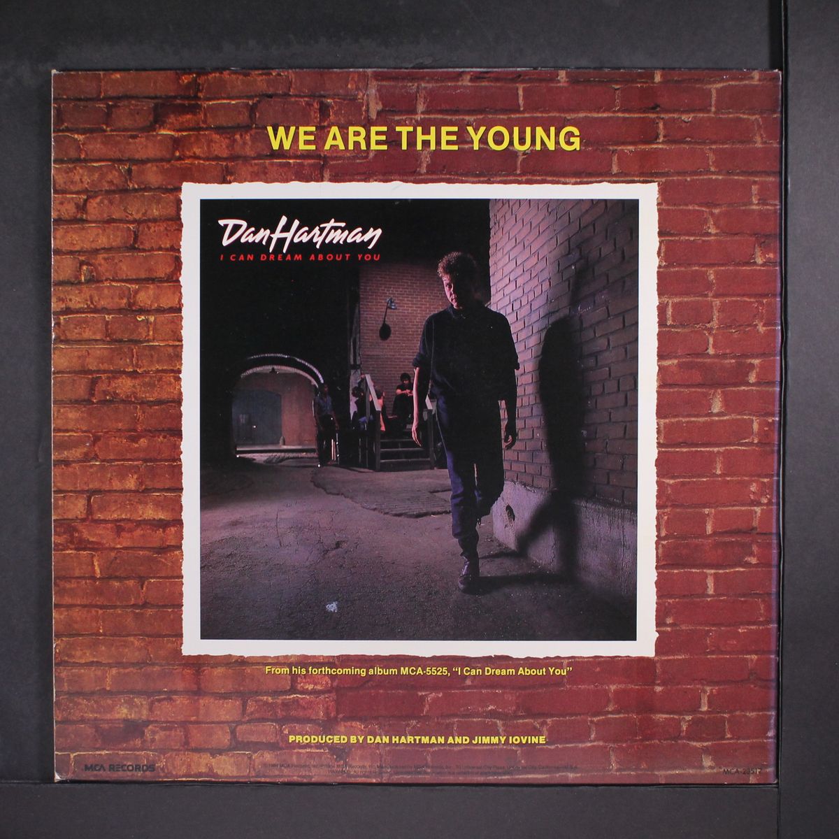 we are the young by DAN HARTMAN