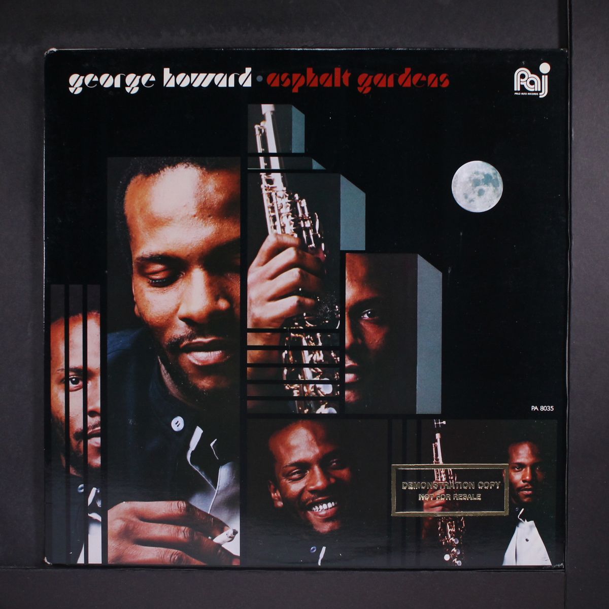 asphalt gardens by GEORGE HOWARD