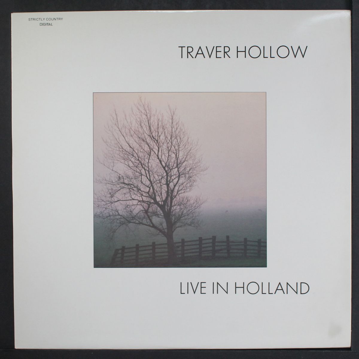 live in holland by TRAVER HOLLOW