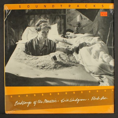 BIRDSONGS OF THE MESOZOIC