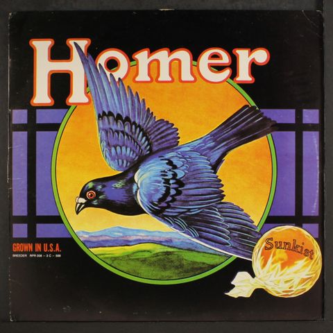 HOMER