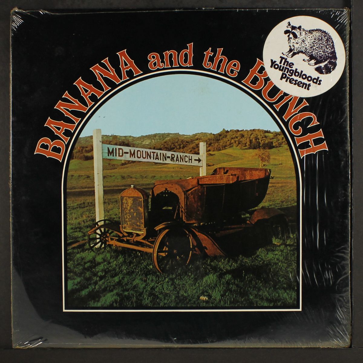 mid-mountain-ranch by BANANA & THE BUNCH
