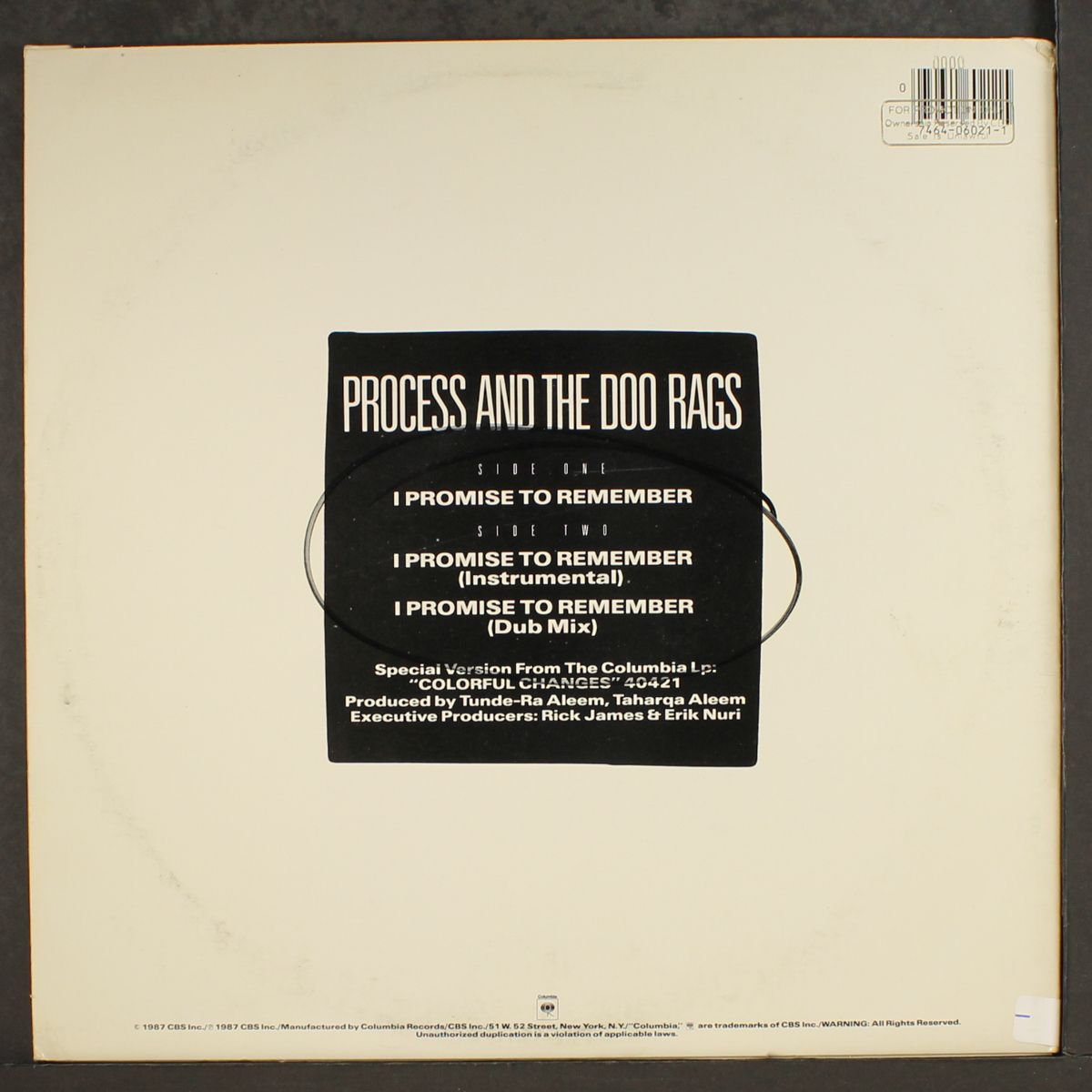 i promise to remember by PROCESS & DOO RAGS