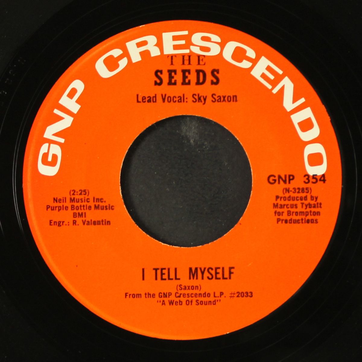 can't seem to make you mine / i tell myself by SEEDS