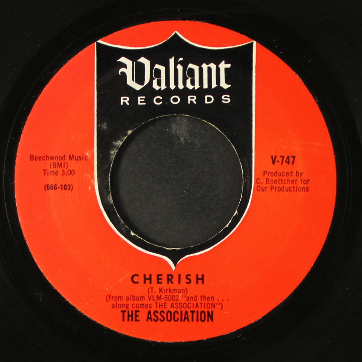 cherish / don't blame it on me by ASSOCIATION