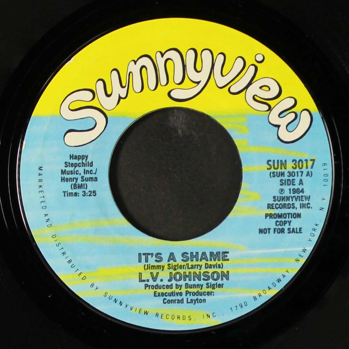 it's a shame / same by L.V. JOHNSON