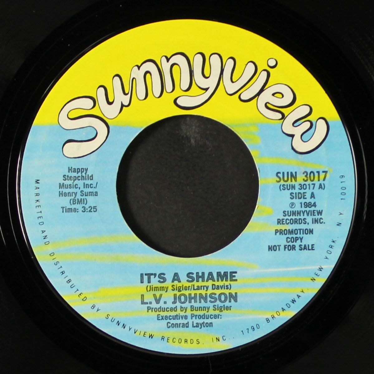 it's a shame / same by L.V. JOHNSON