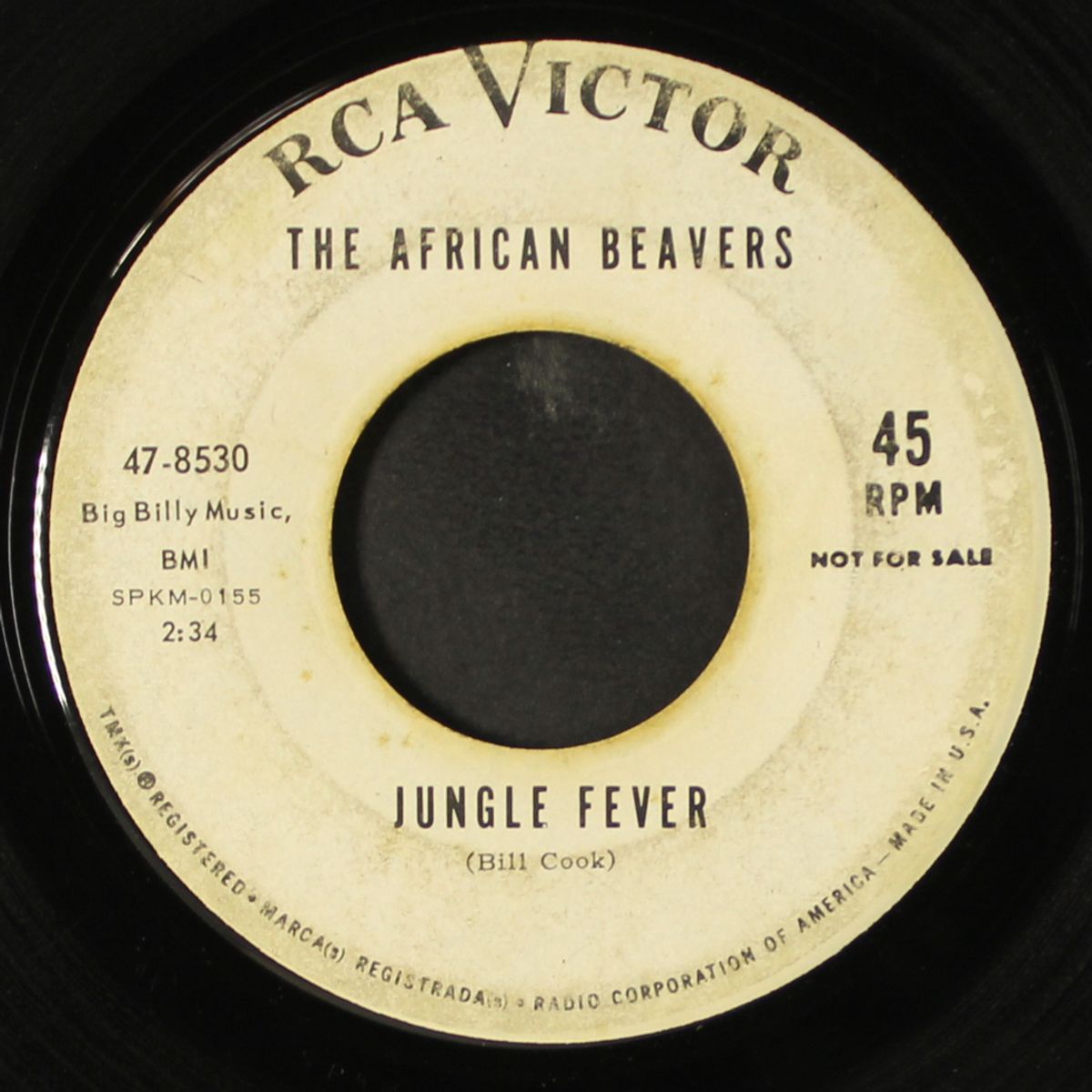 find my baby / jungle fever by AFRICAN BEAVERS