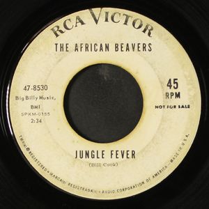 AFRICAN BEAVERS