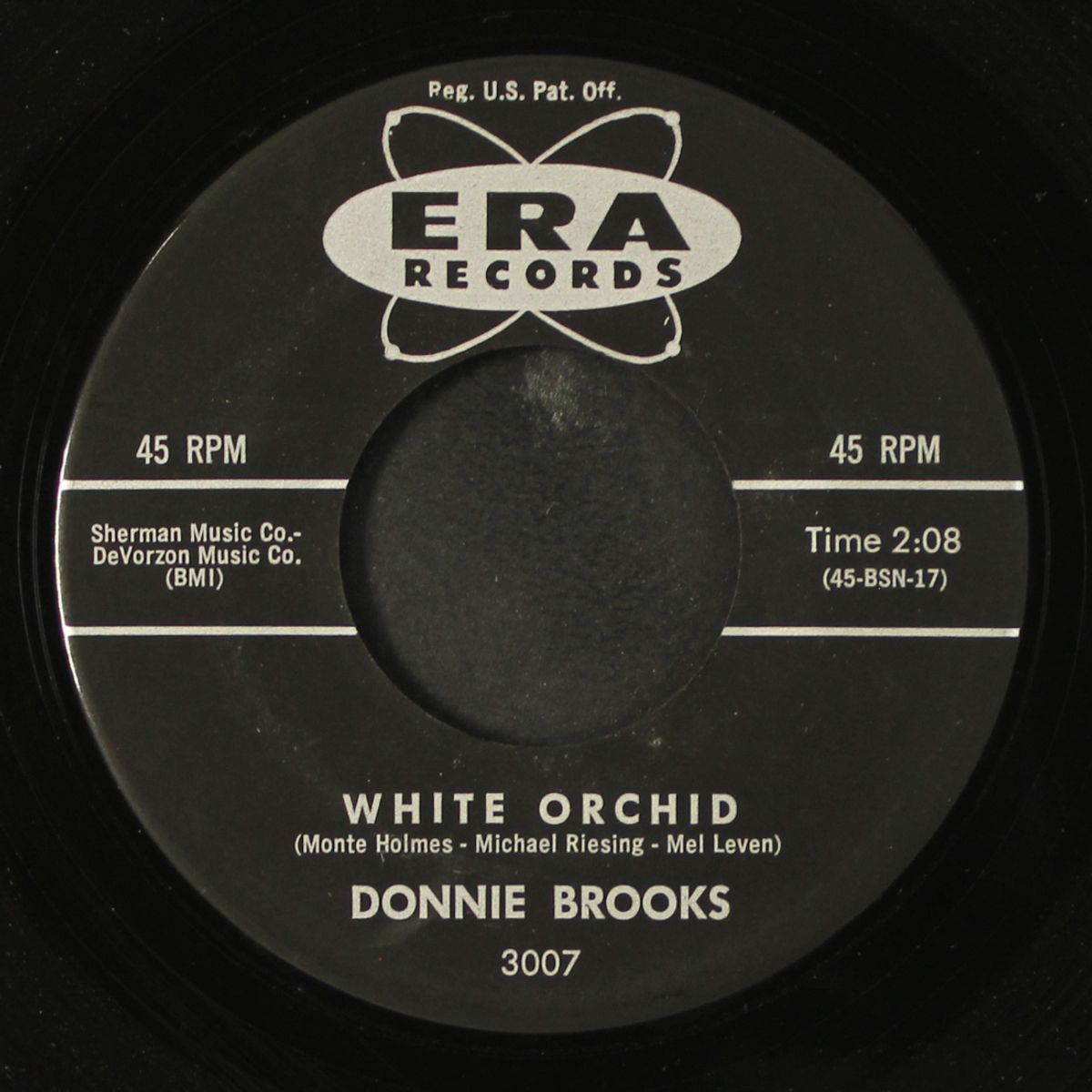 white orchid by DONNIE BROOKS