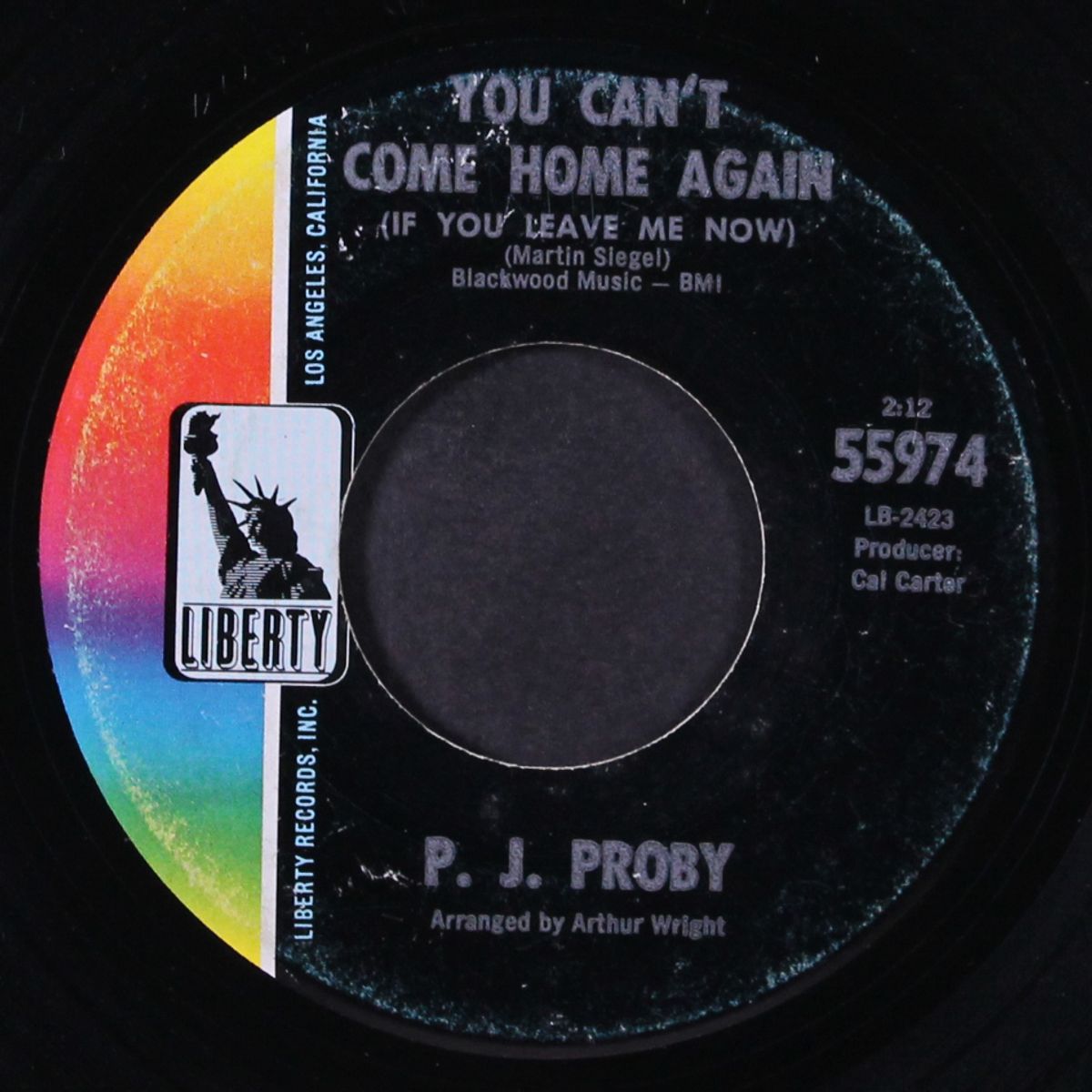 you can't come home again by P.J. PROBY