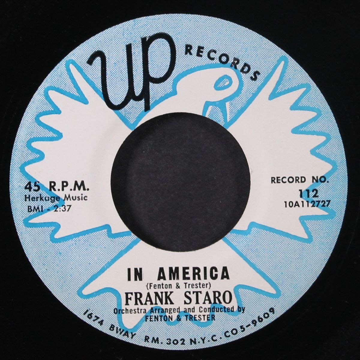 edge of a star / in america by FRANK STARO