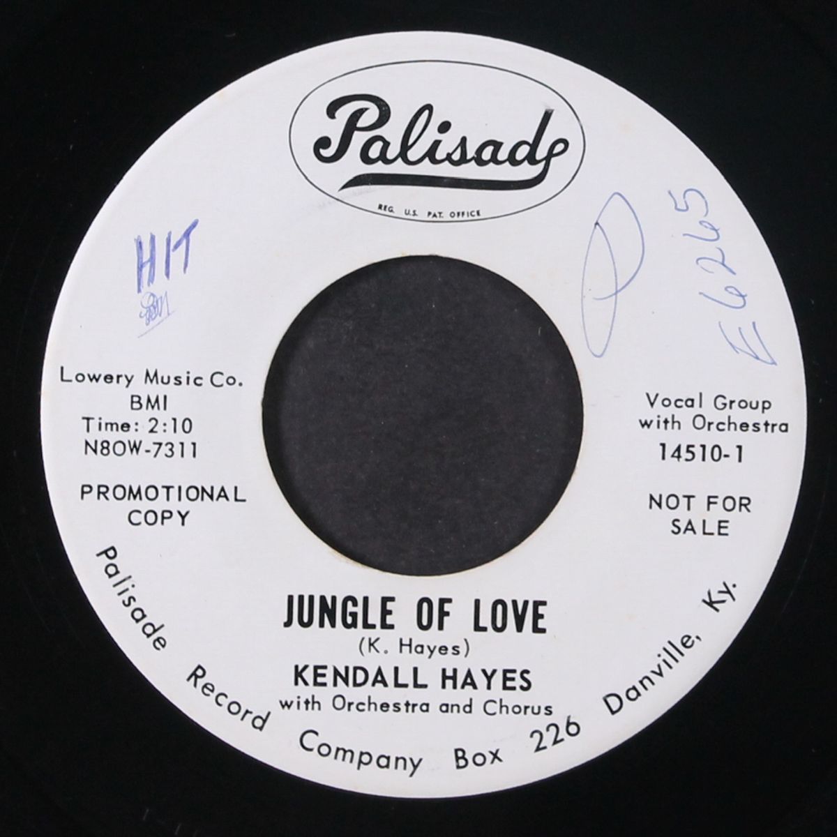 jungle of love / thisaway or thataway by KENDALL HAYES