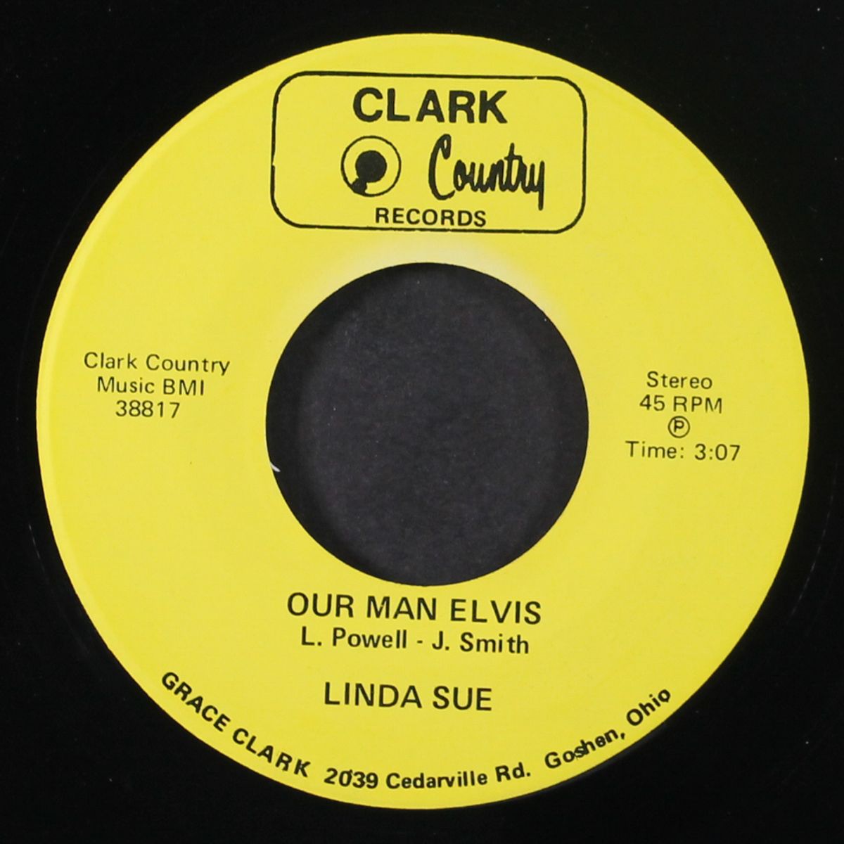 our man elvis by LINDA SUE