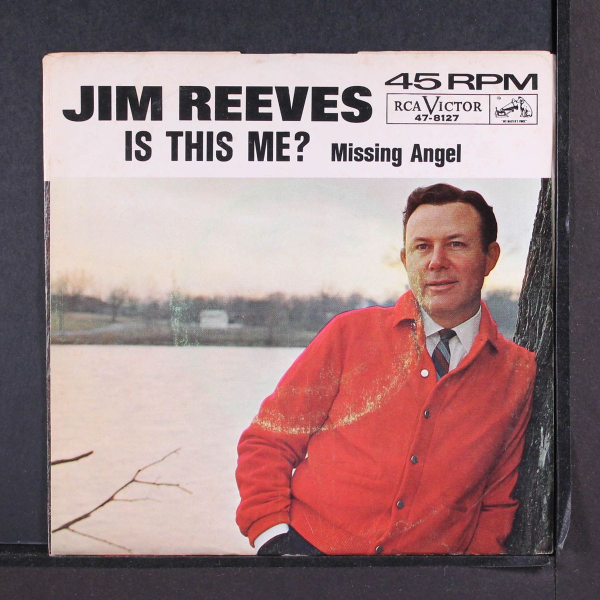 is this me? by JIM REEVES
