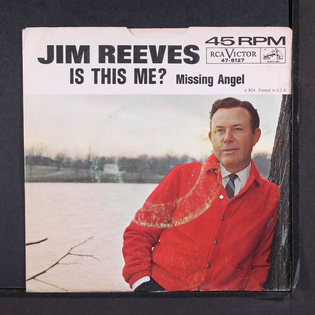 is this me? by JIM REEVES
