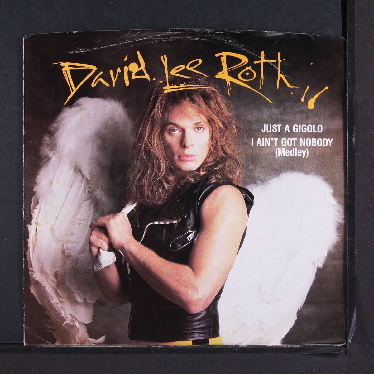 just a gigolo / remix by DAVID LEE ROTH