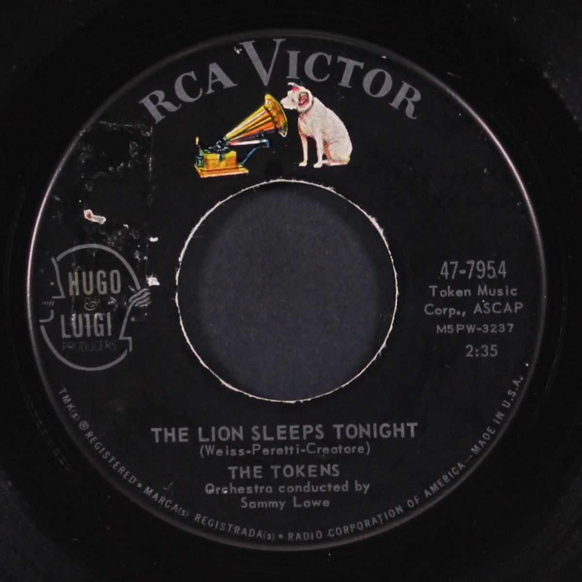 the lion sleeps tonight / tina by TOKENS