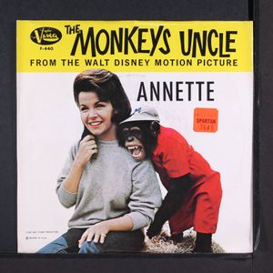 ANNETTE & BEACH BOYS
