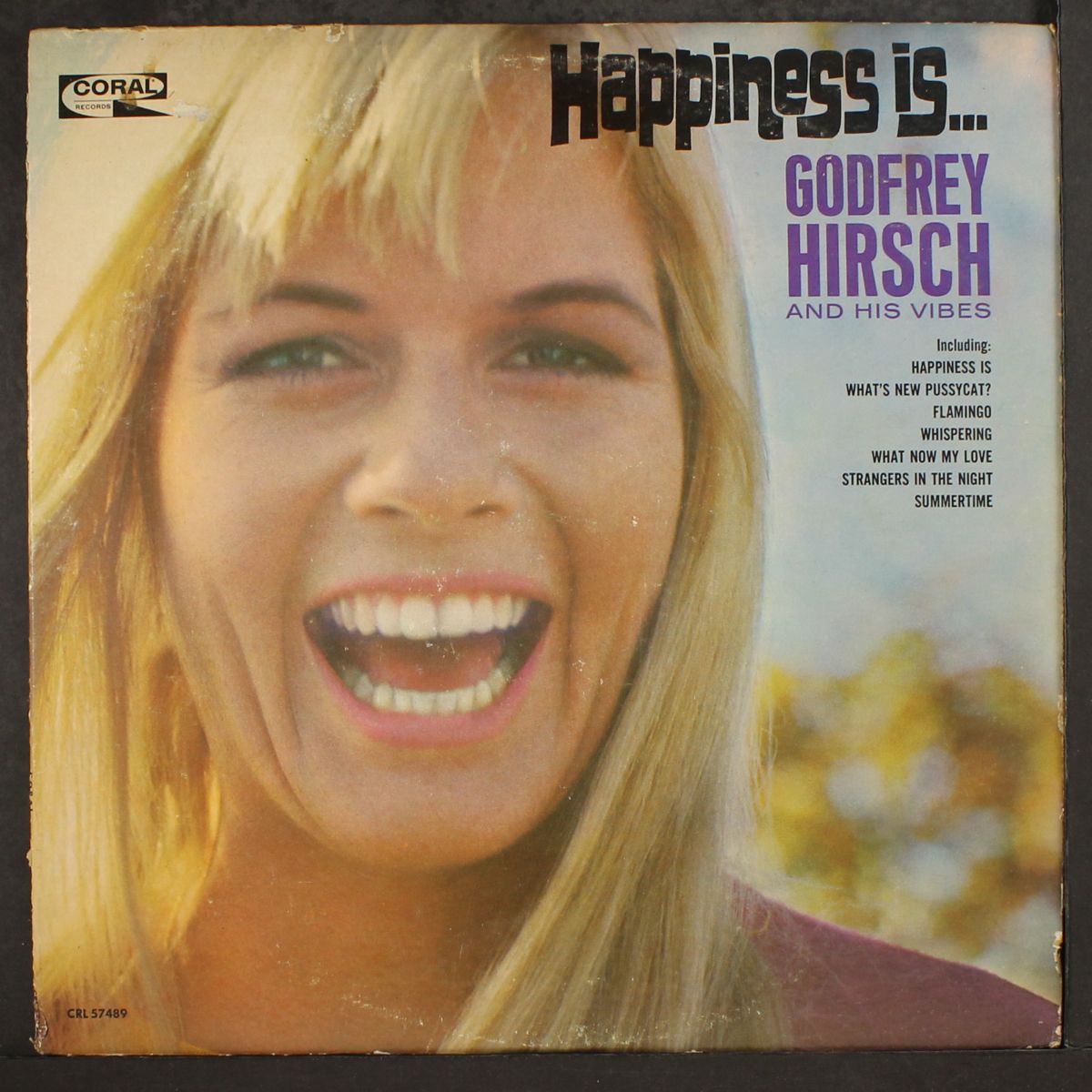 happiness is . . . by GODFREY HIRSCH