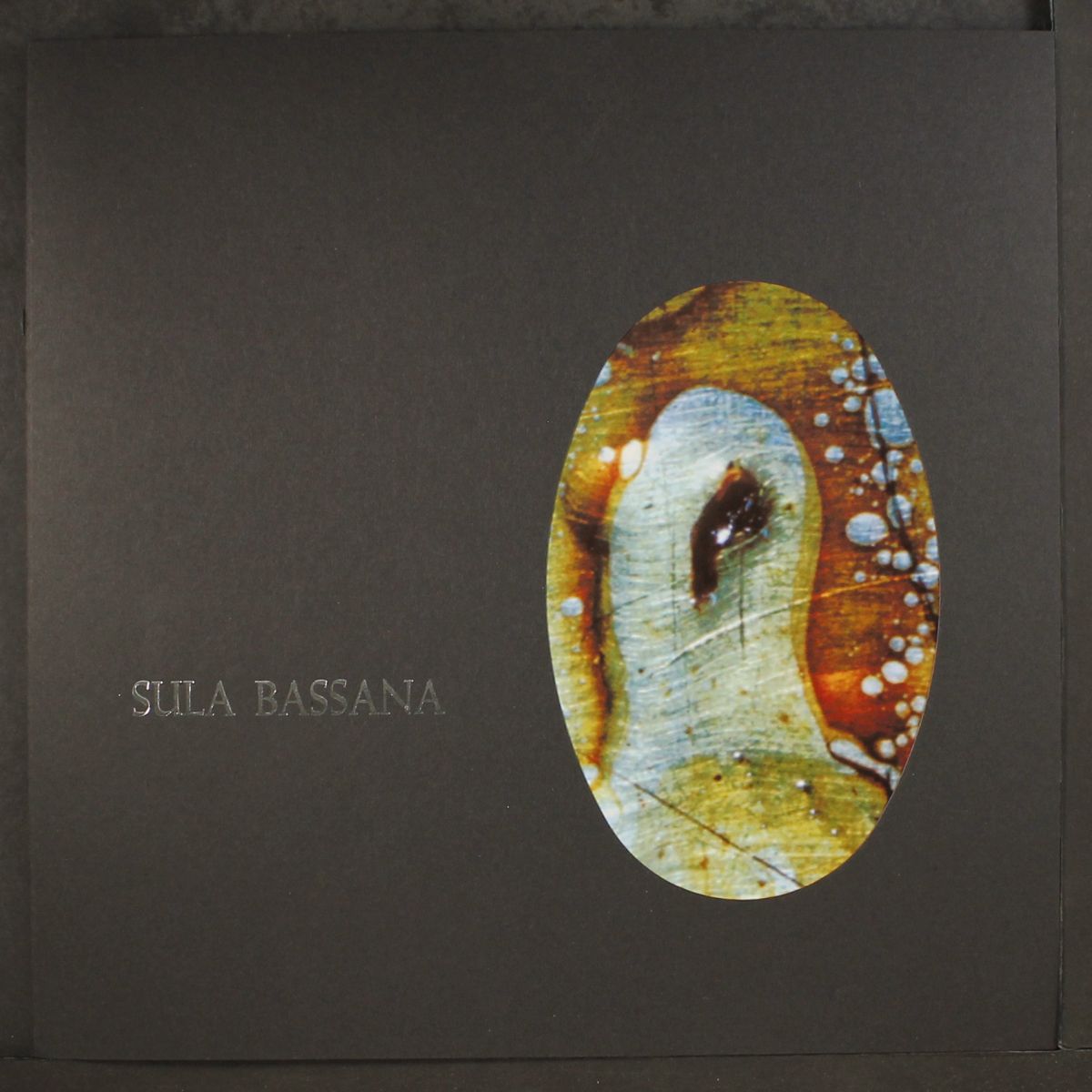 dreamer by SULA BASSANA