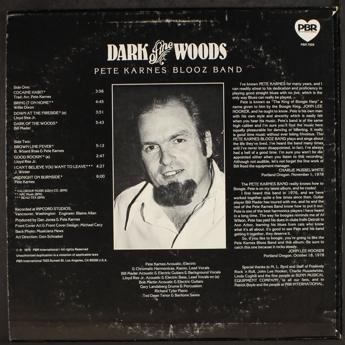 dark of the woods by PETE KARNES BLOOZ BAND