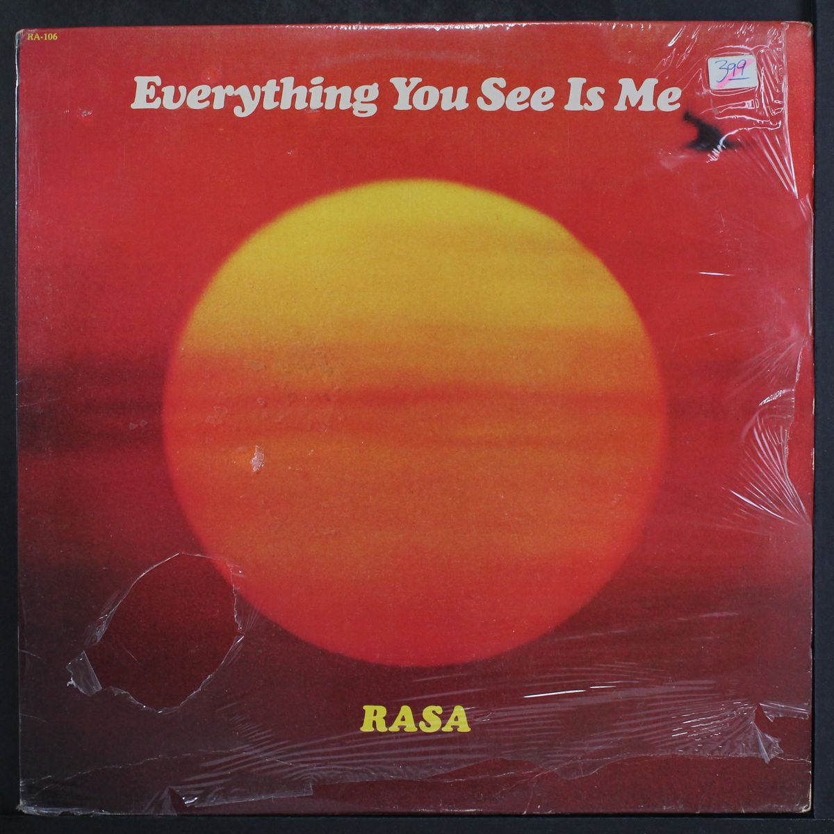 everything you see is me by RASA
