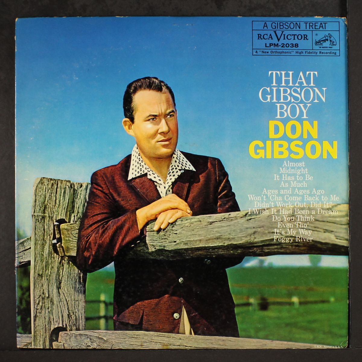 that gibson boy by DON GIBSON