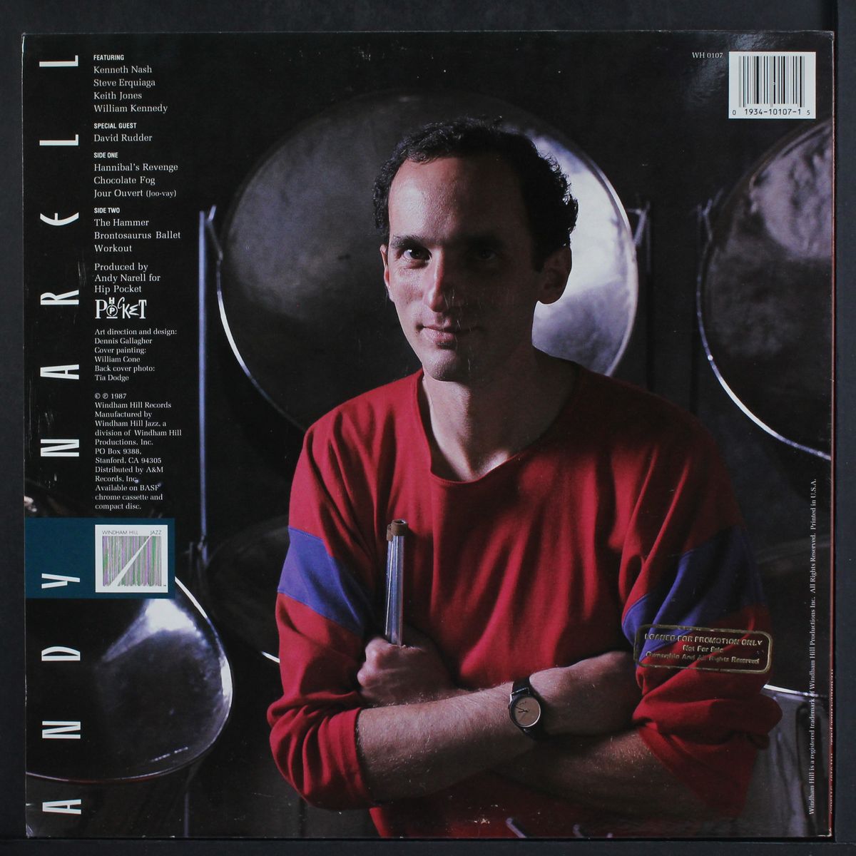 the hammer by ANDY NARELL