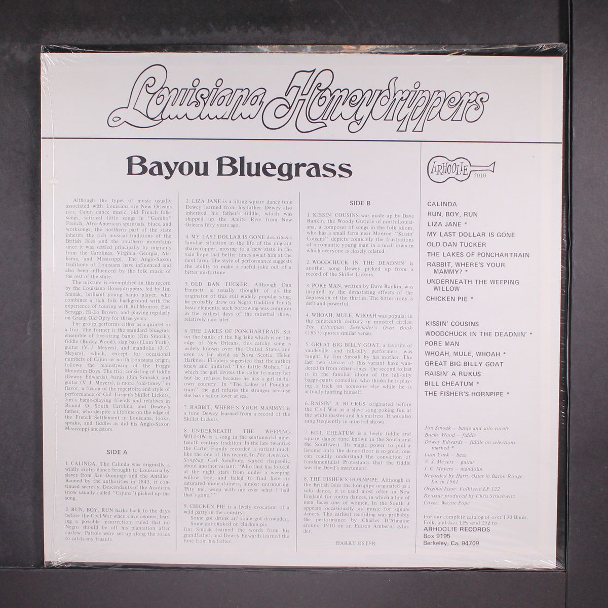 bayou bluegrass by LOUISIANA HONEYDRIPPERS