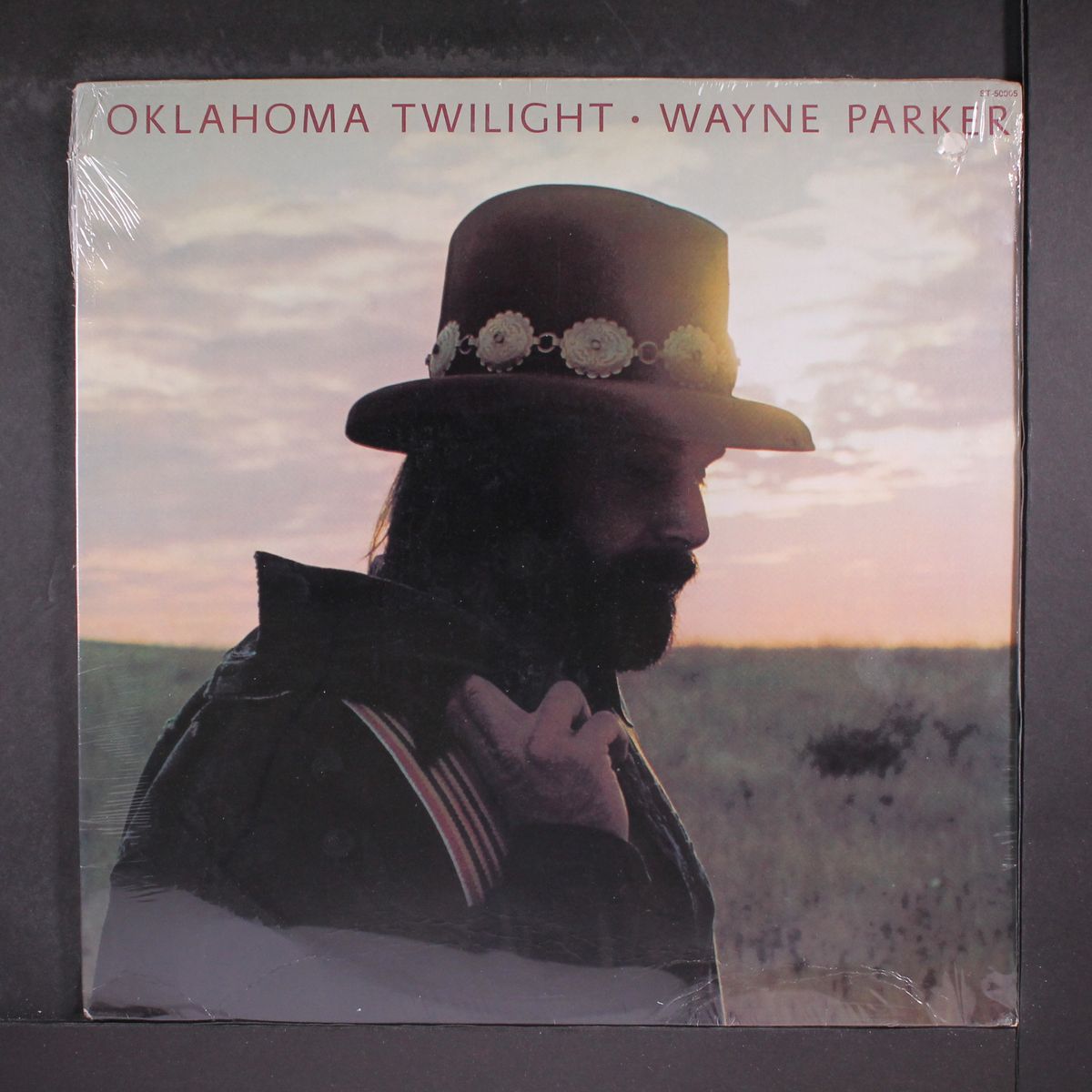 oklahoma twilight by WAYNE PARKER