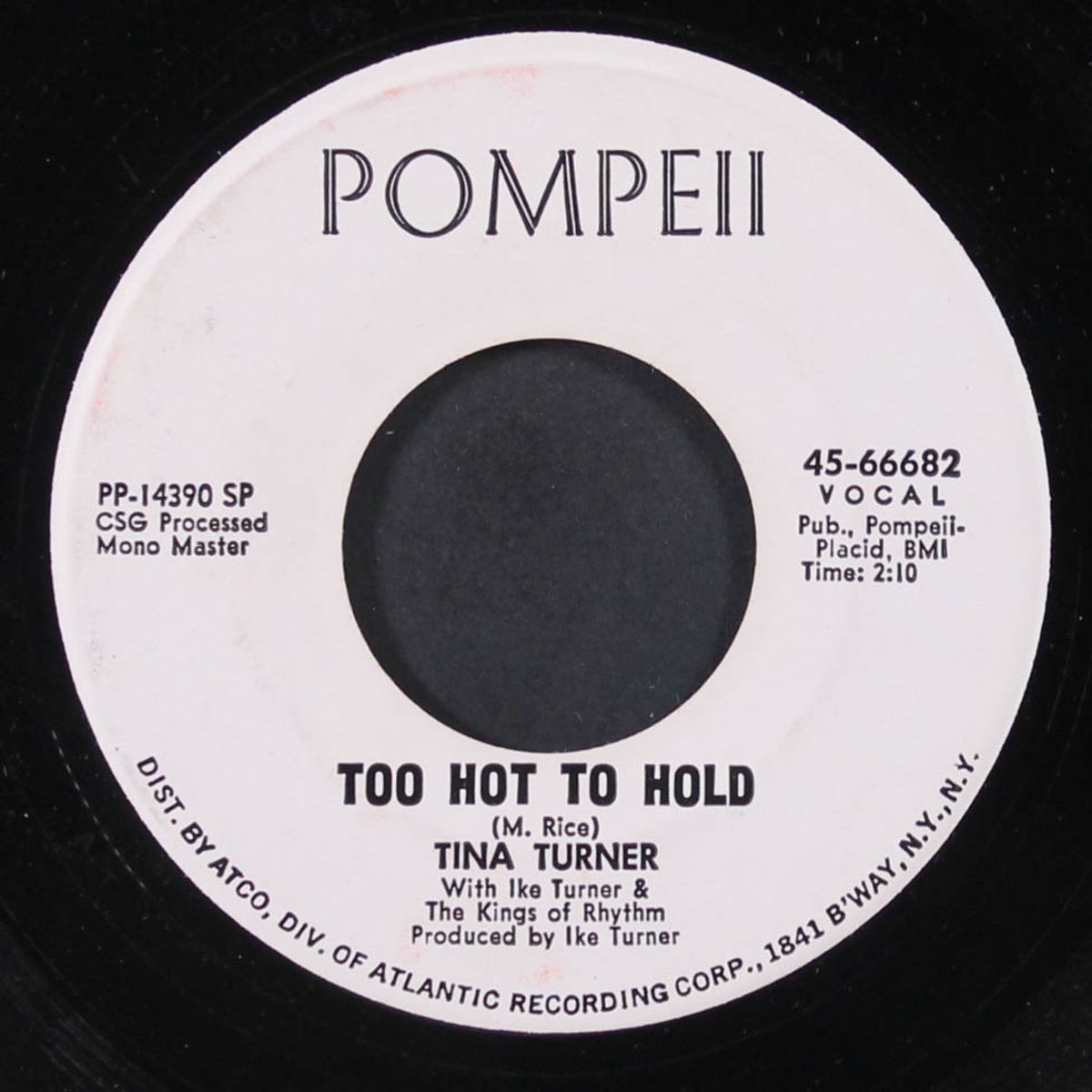 you got what you wanted / too hot to hold by TINA TURNER