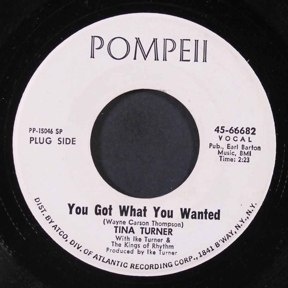 you got what you wanted / too hot to hold by TINA TURNER