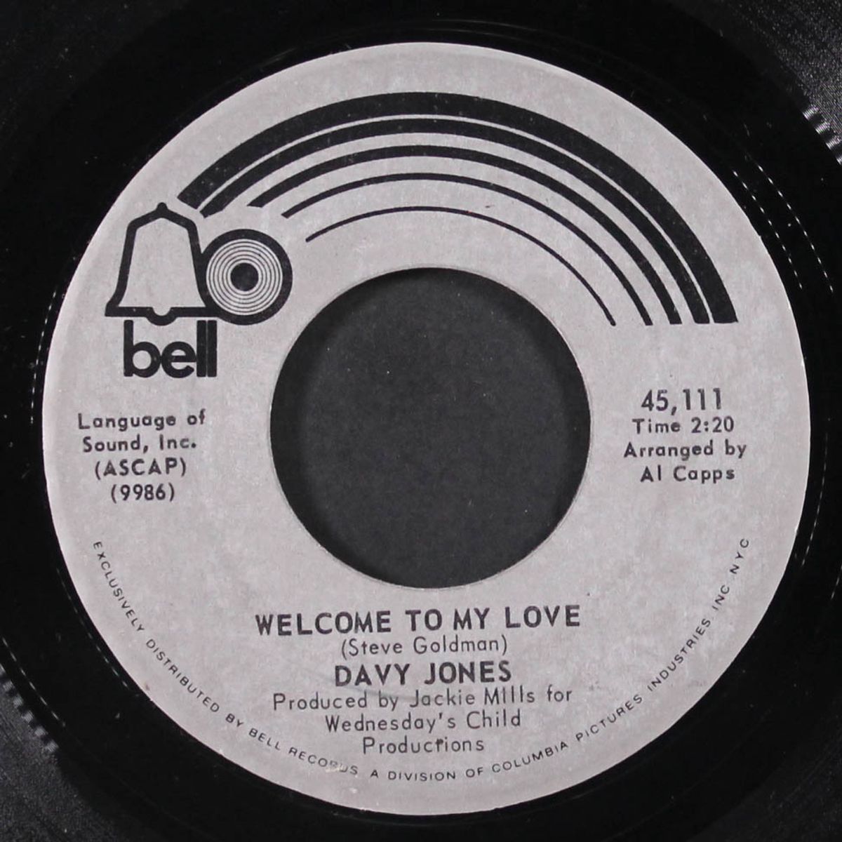 rainy jane / welcome to my love by DAVY JONES