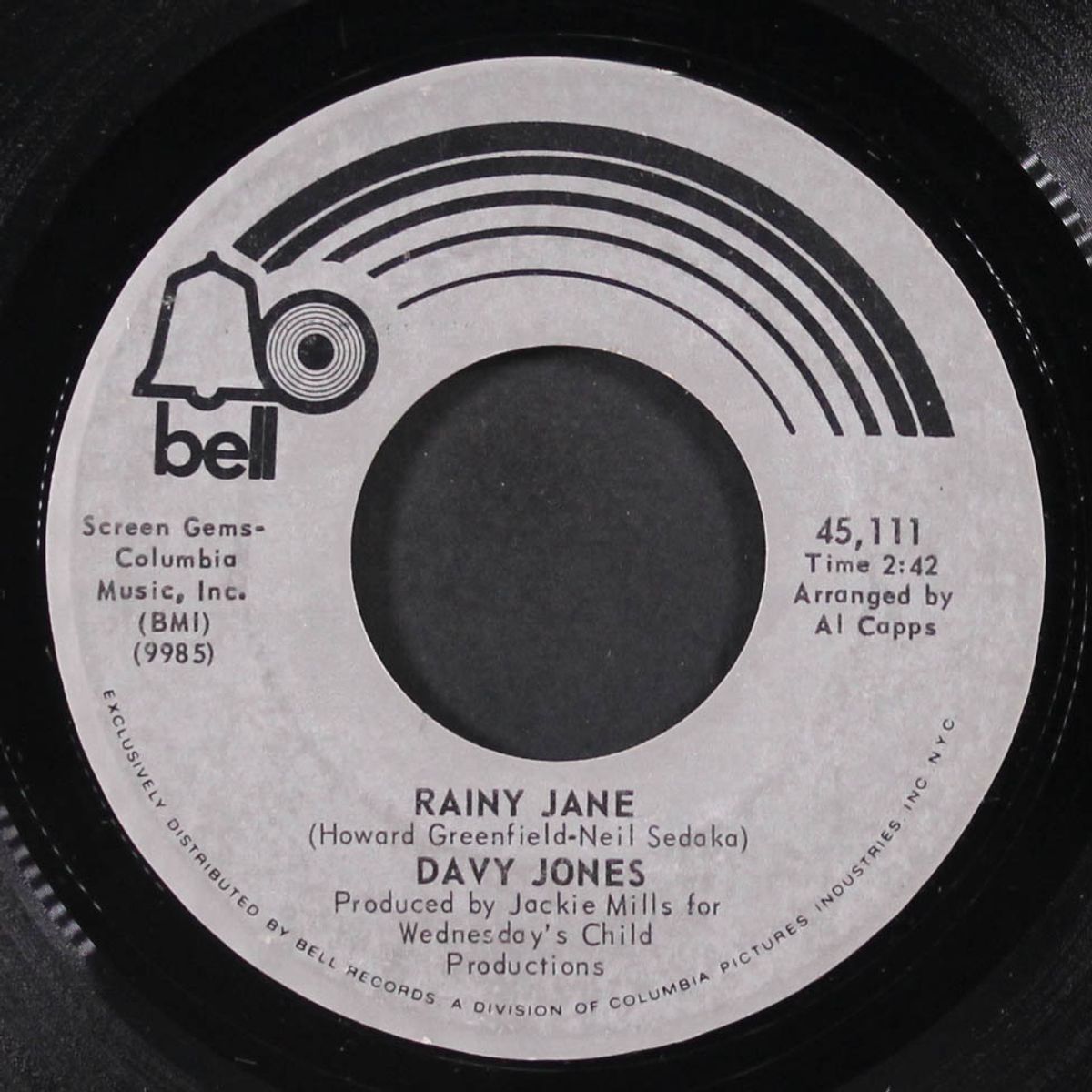 rainy jane / welcome to my love by DAVY JONES