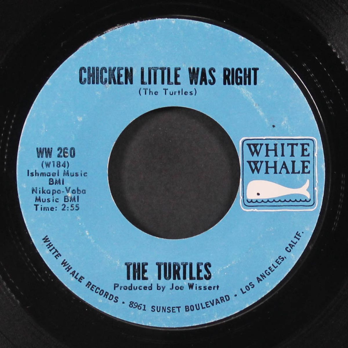 she's my girl / chicken little was right by TURTLES