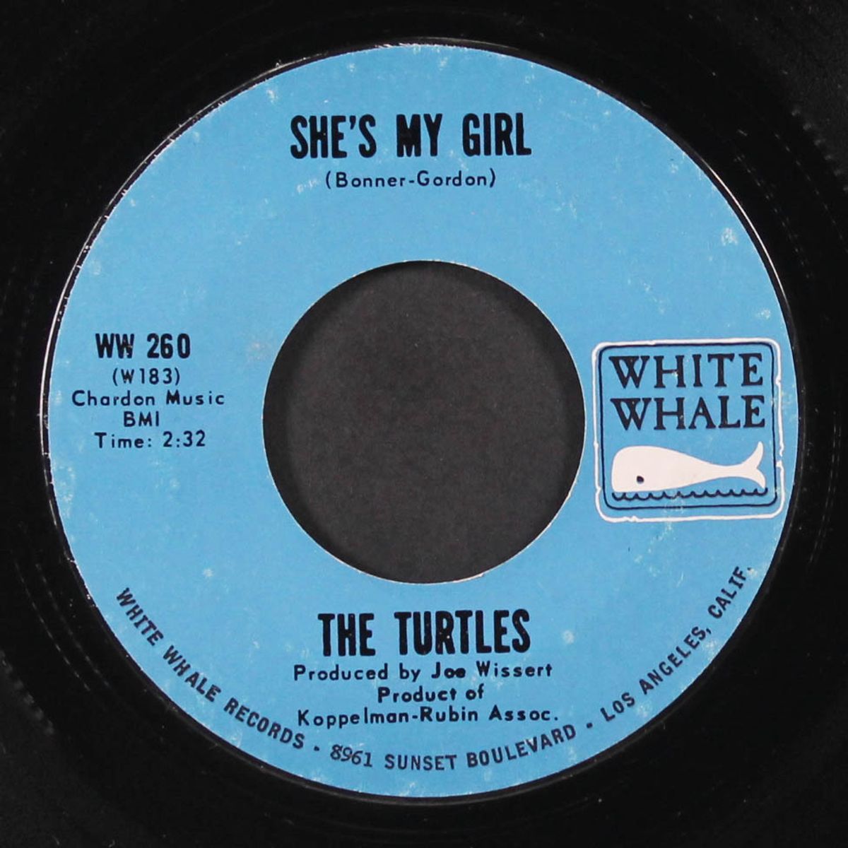 she's my girl / chicken little was right by TURTLES