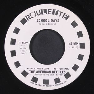 AMERICAN BEETLES