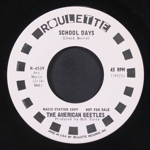 AMERICAN BEETLES