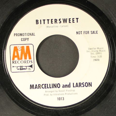 MARCELLINO & LARSON