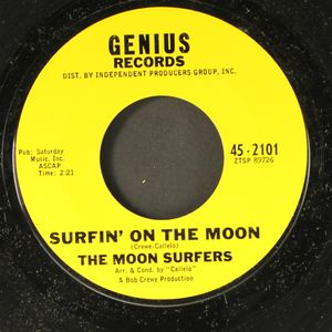 MOON SURFERS / MICHAEL DOMINICO