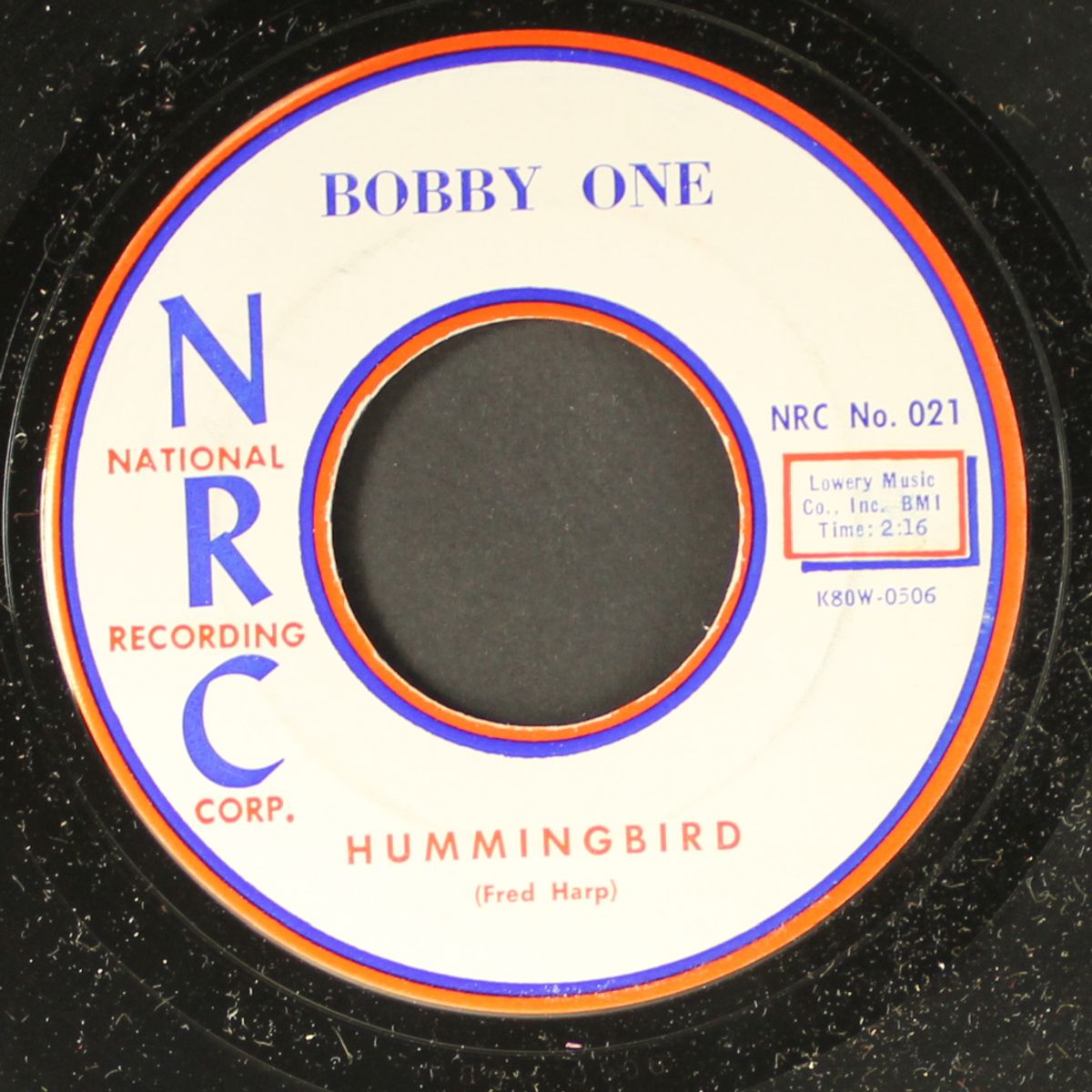undecided / hummingbird by BOBBY ONE
