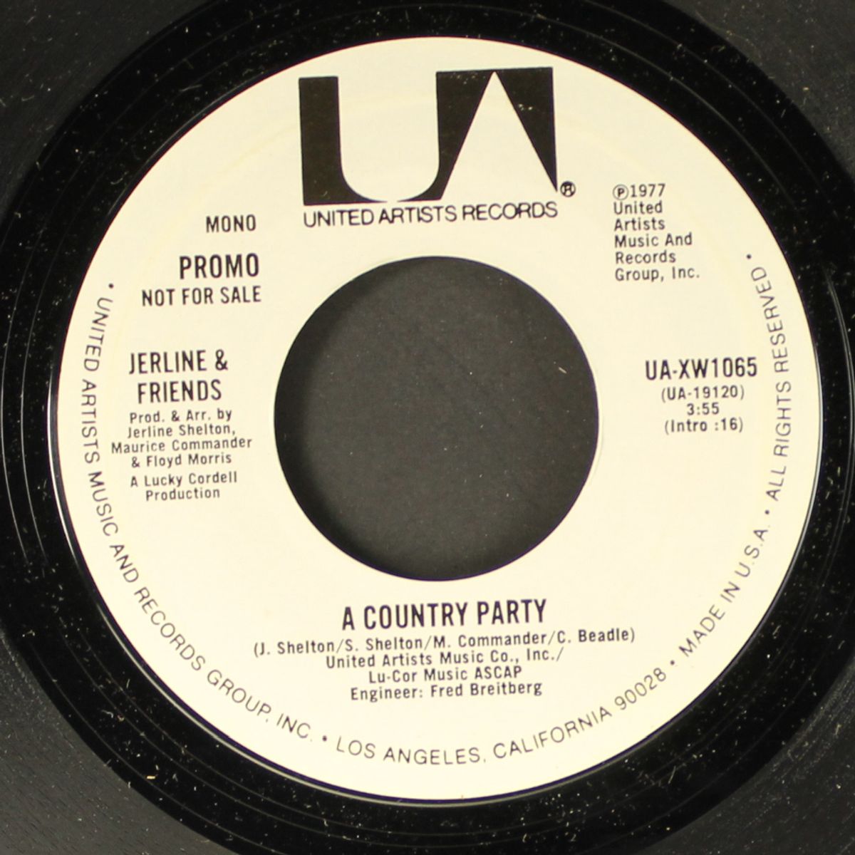 a country party / mono by JERLINE & FRIENDS